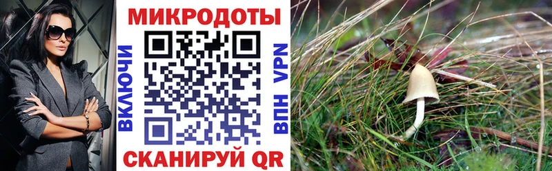 дарнет шоп  Пестово  Галлюциногенные грибы мухоморы 