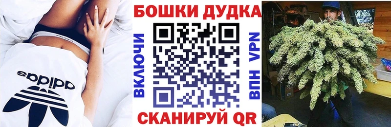 где купить наркоту  Пестово  Бошки Шишки план 